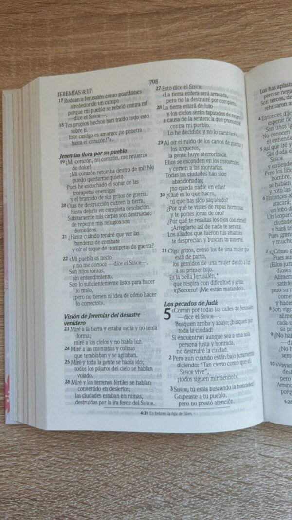 Biblia de Promesas para Niñas NTV