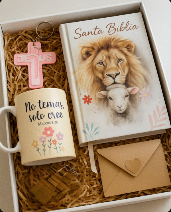 BOX "No temas Solo Cree"