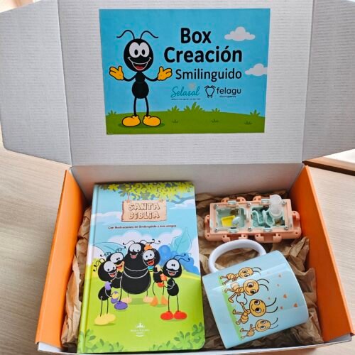 Box Educativo Creación: Ideal para niños TEA