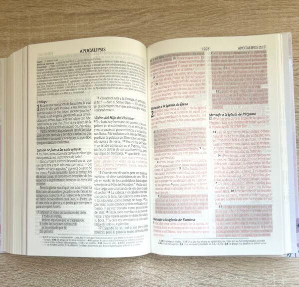 Biblia de Promesas para Niñas NTV