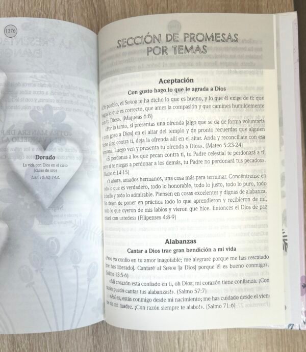 Biblia de Promesas para Niñas NTV