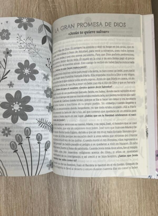 Biblia de Promesas para Niñas NTV