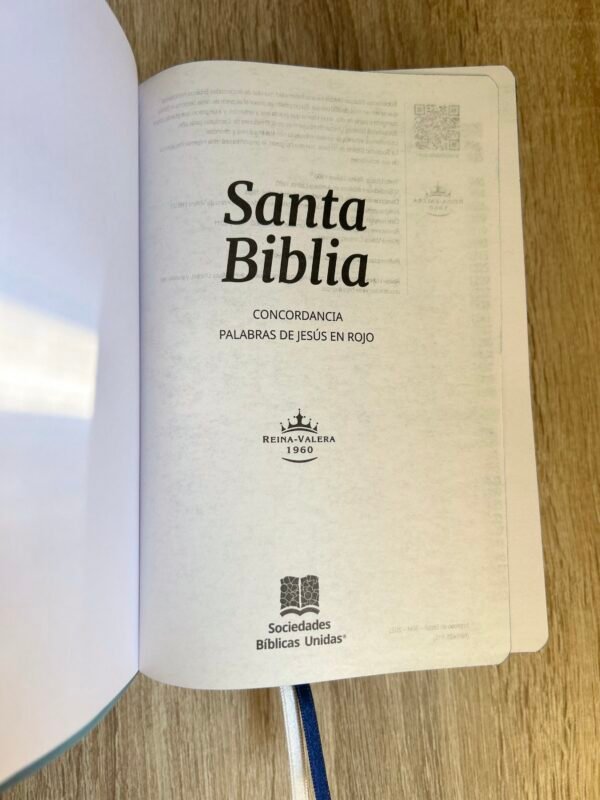 img_7121 Biblia Ancla Azul Letra Grande