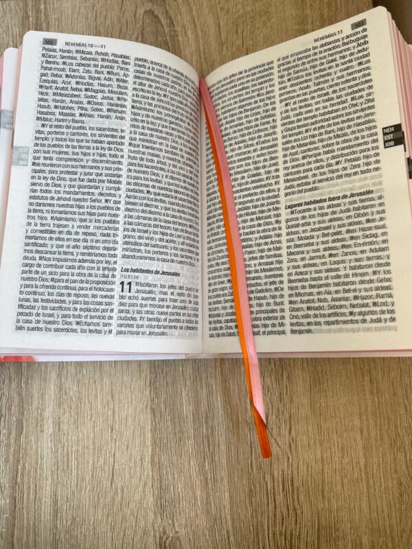 img_7158 Biblia Flor RV1960