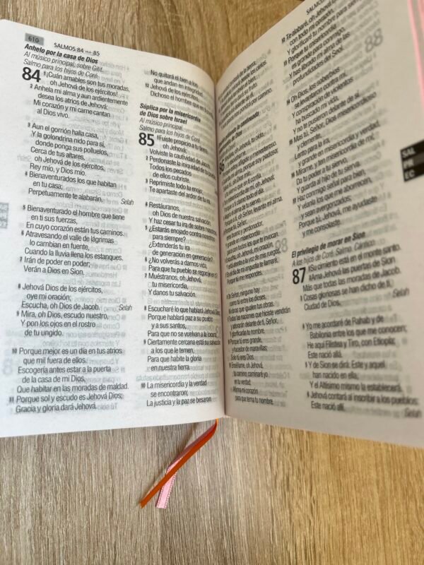 img_7159 Biblia Flor RV1960