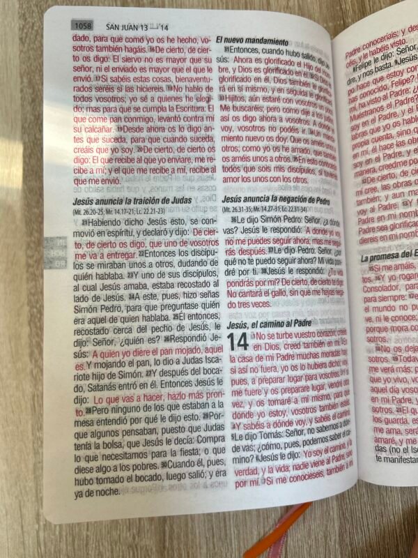 img_7160 Biblia Flor RV1960