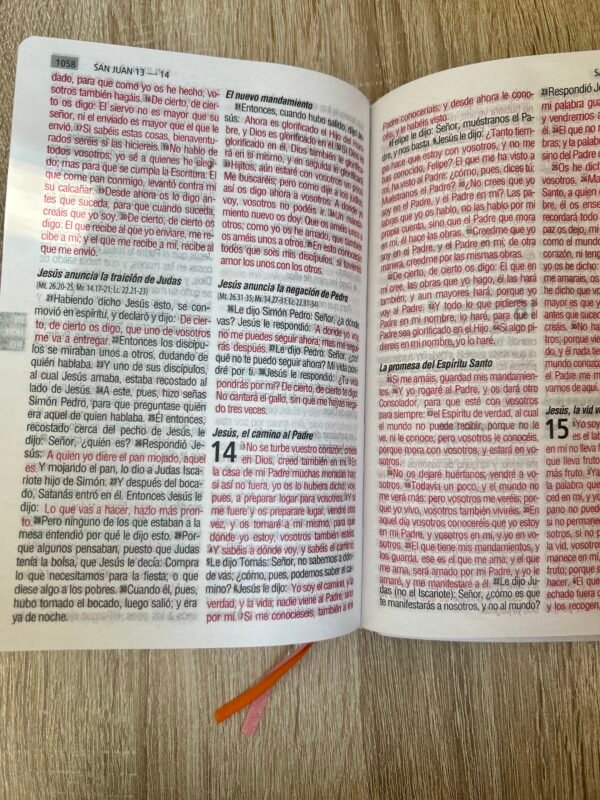 img_7161 Biblia Flor RV1960