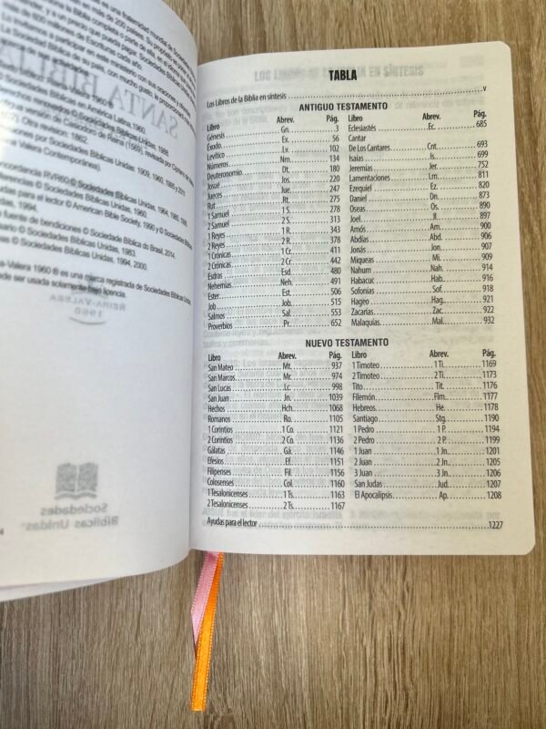 img_7163 Biblia Flor RV1960