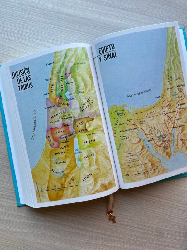 Biblia Fuerza de Dios RV1960 Compacta