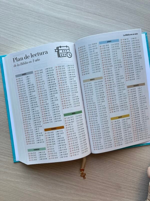 Bblia León Jesucristo Mitad RV1960 Compacta