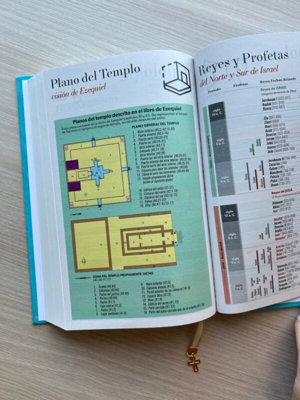 Biblia León Jesucristo Compacta RV1960