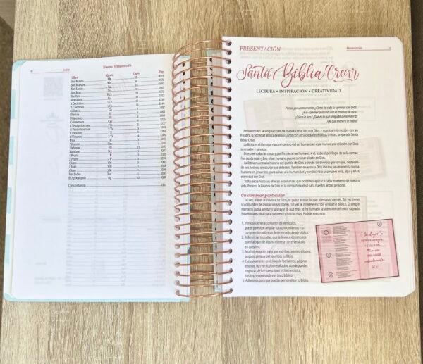 Biblia de Estudio RV1960