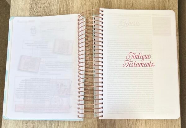 Biblia de Estudio RV1960