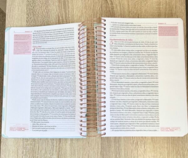 Biblia de Estudio RV1960