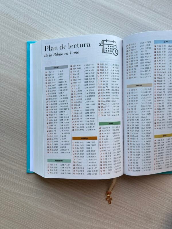 img_8647-5 Biblia Púrpura Reina Valera 1960