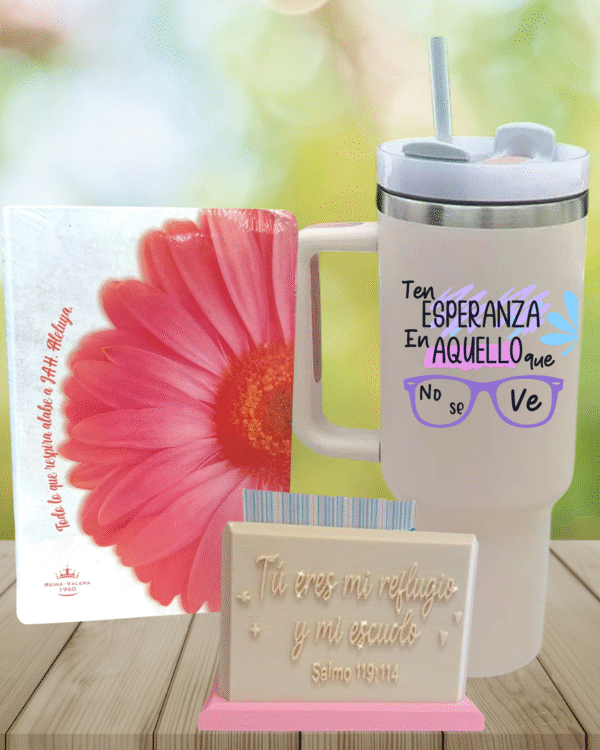 ooko Box Grano de Mostaza