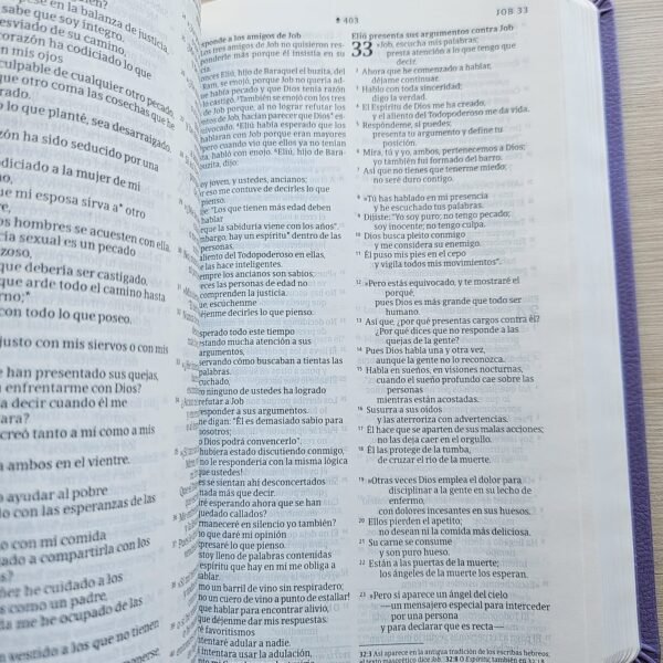 0688cfd9-ee51-4a99-8226-0a32b8372e25-2 Biblia NTV lila