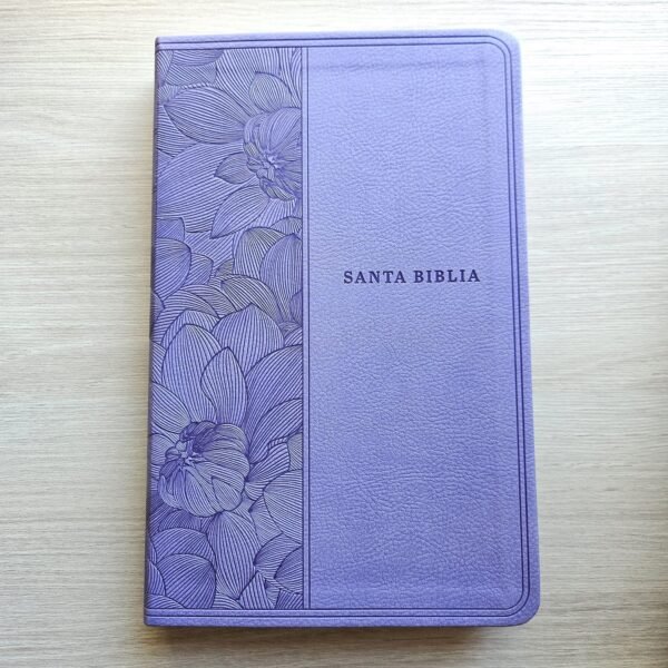 3325453d-533a-4895-ba17-1079201d06b0-2 Biblia NTV lila