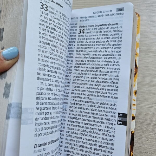 img_1190 Biblia León Gold