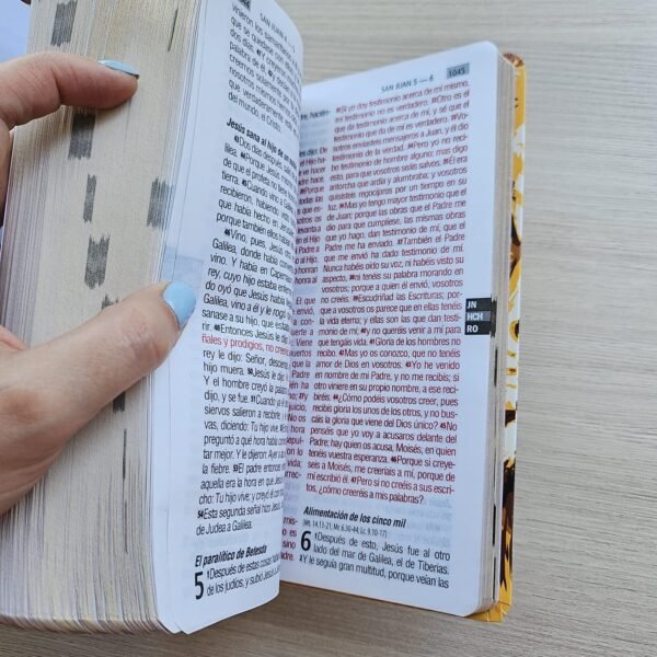 img_1193 Biblia León Gold