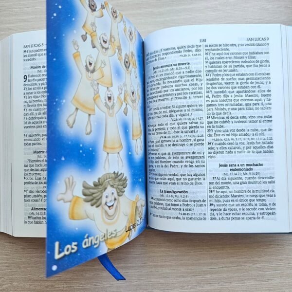 img_2152 Biblia infantil Amigos por Siempre RV1960