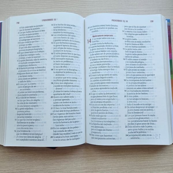 img_2159 Biblia de Estudio TLA Familias Sanas