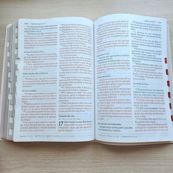 Biblia RV1960 letra Supergigante