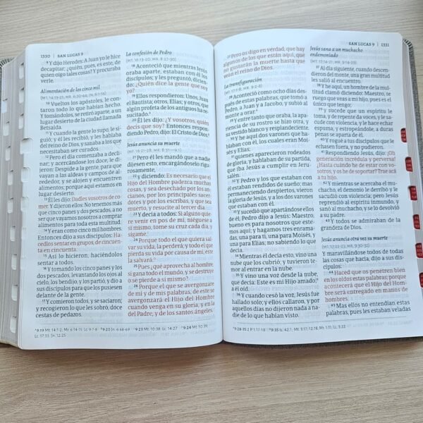 Biblia letra Supergigante RV1960