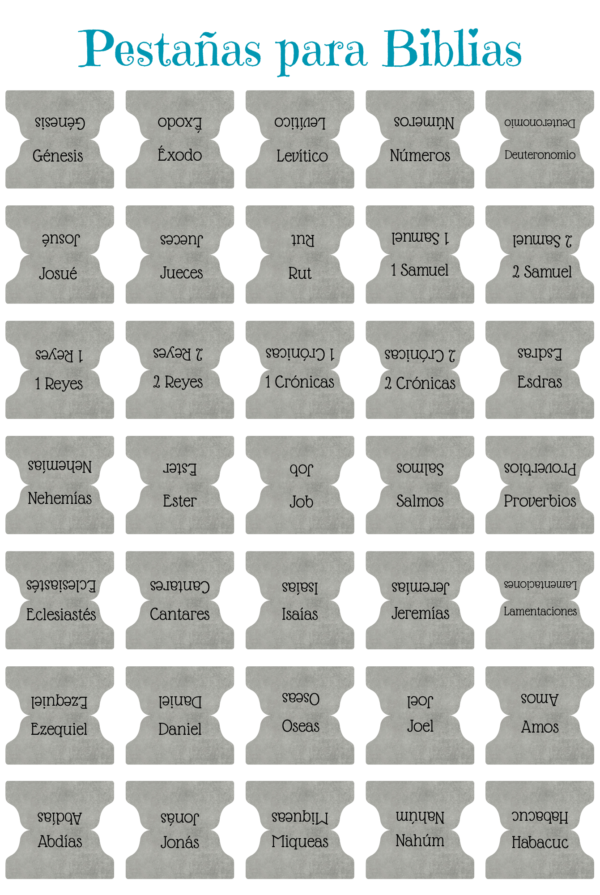 Pestañas Laminadas en Frío Gris