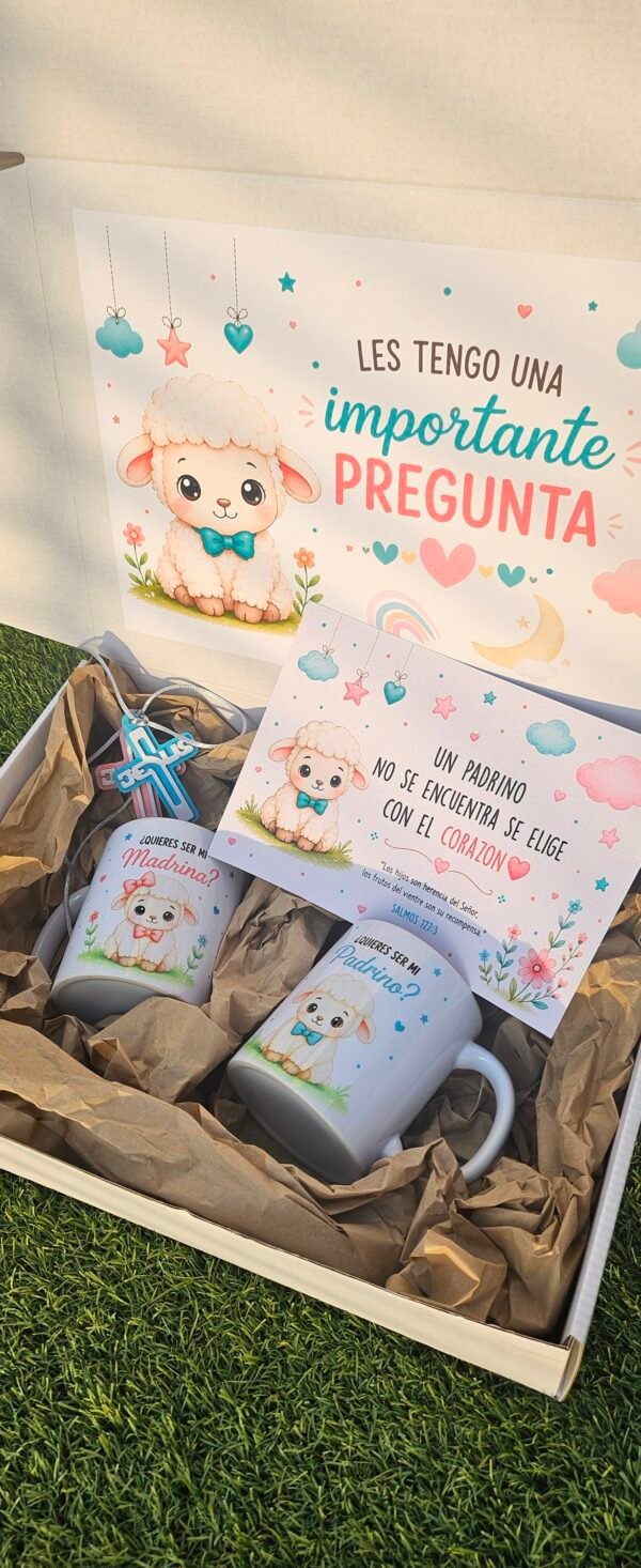 img_6741 Box Propuesta de Padrinos