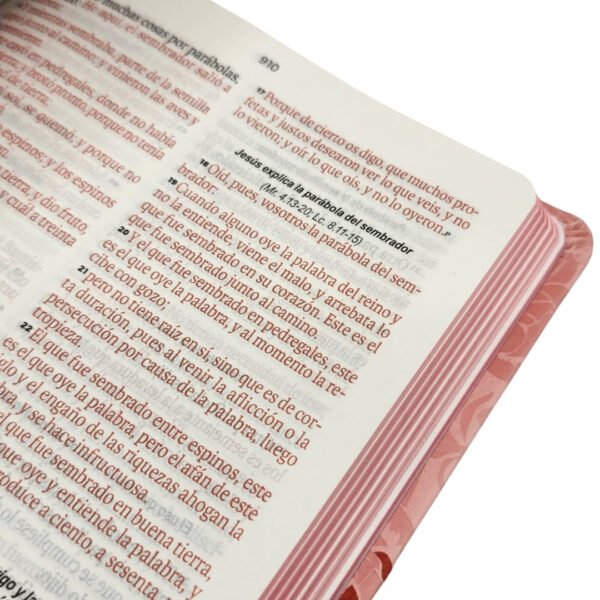 6a0b6c791b300_9798893842814-4 Biblia imitación piel Rosa