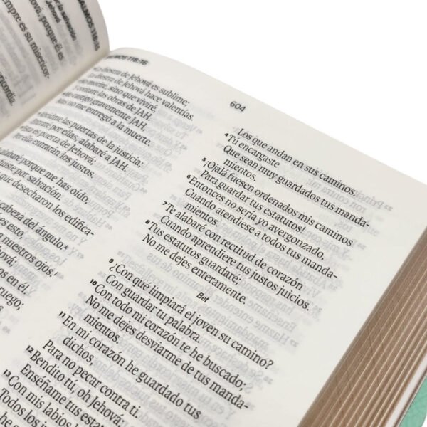 6a0b7b63b275d_9798893842869-3 Biblia imitación piel Menta Mariposas