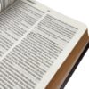 Biblia imitación piel Águila