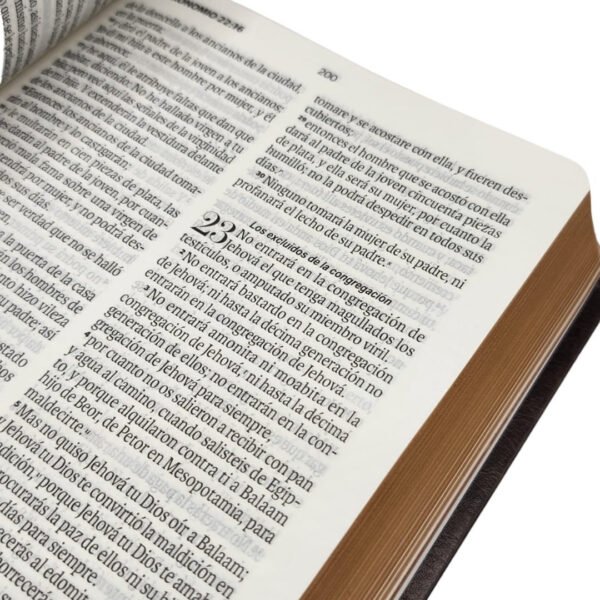 Biblia imitación piel Águila