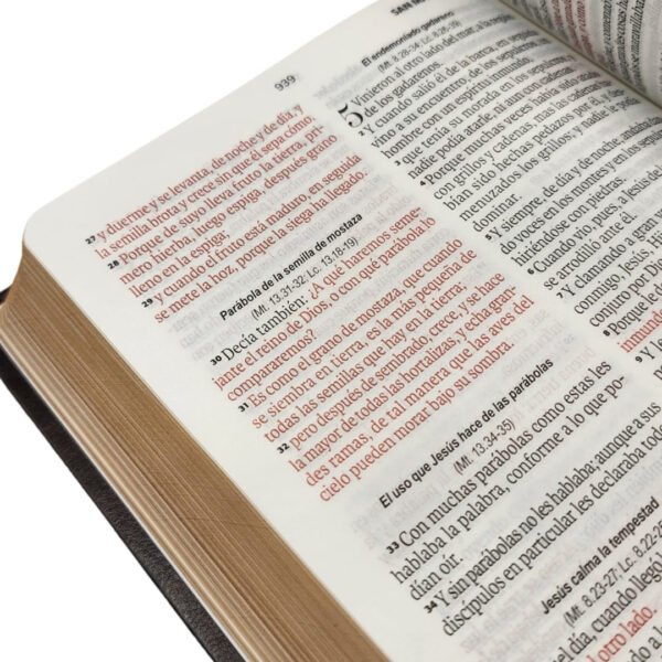 Biblia imitación piel Águila