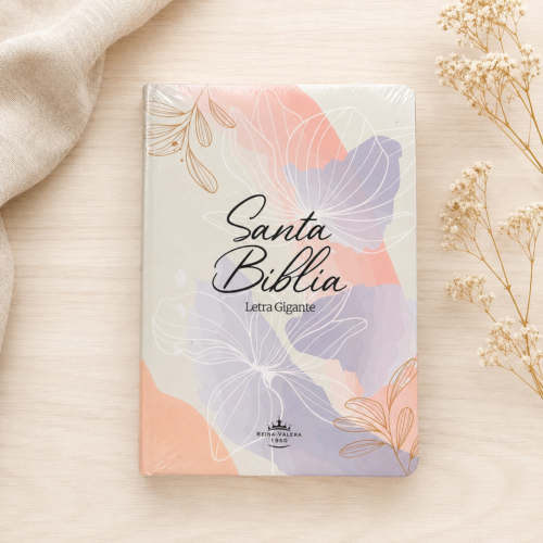 Biblia Pastel Letra gigante