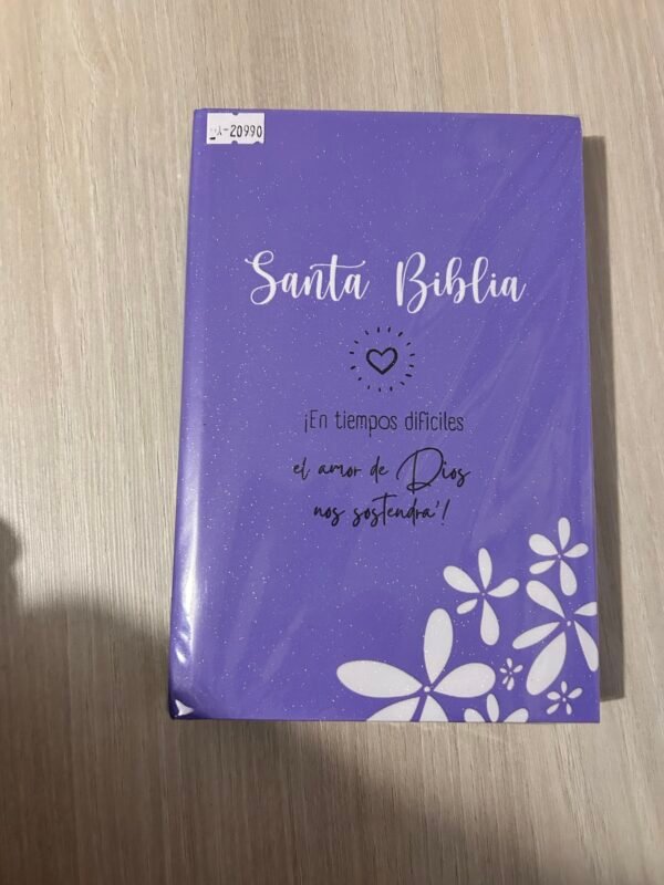 Biblia Reina Valera 1960